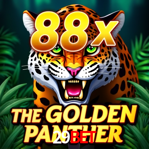 Sports Statistics 29Bet